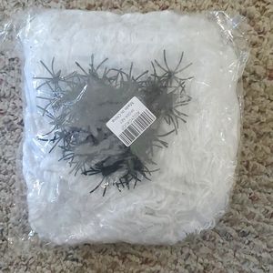 Spider web and spiders